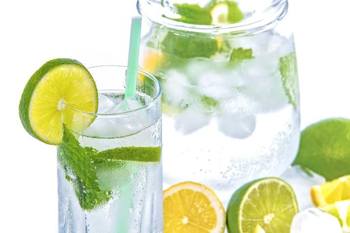 Tasty and beautiful Pre-Meal Water Ideas