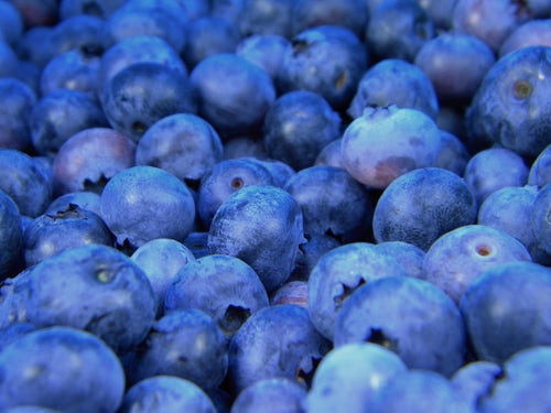 Antioxidant