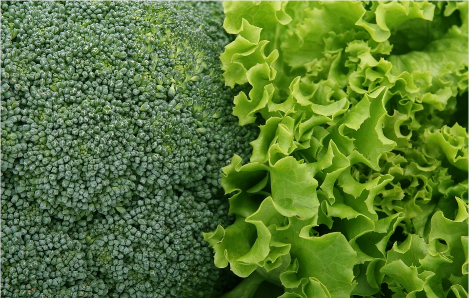 broccoli and kale superfoods